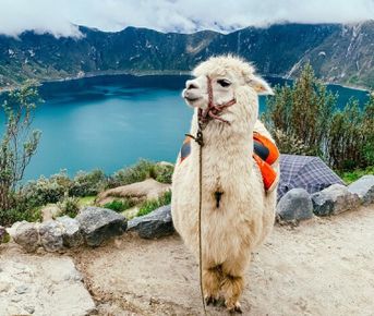 Quilotoa Lake adventure