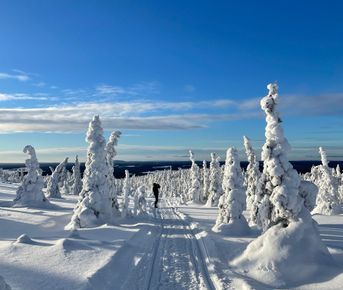 Паанаярви: Сердце зимней Карелии