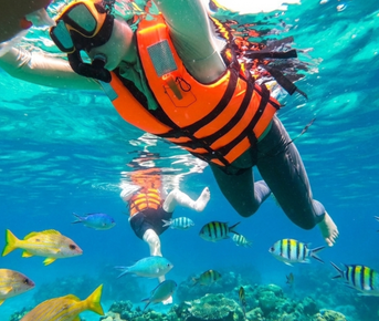 Тропический круиз в Рай Программа полного дневного морского похода