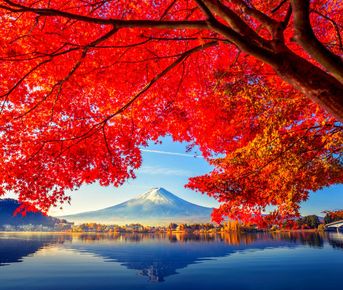 Япония: Алое путешествие