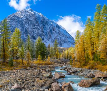 Путешествие Весь Алтай (10 дней)