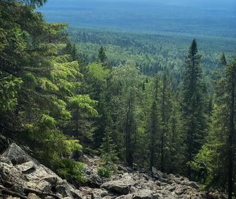Путешествие в Висимский заповедник-эталон Среднего Урала