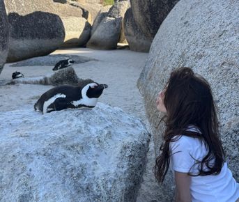 Девичник мечты в Кейптауне на 8 марта: океан, сафари и винные долины