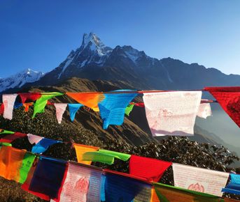 Непал. Марди Химал. Включено, дегустация чая, питание на треке, портеры, мастер класс