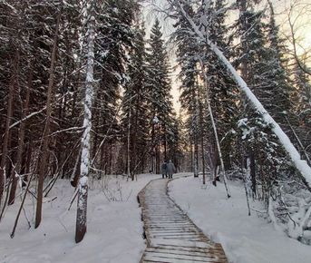 Якутия весной: Красота за полцены! Уникальные туры с 1 марта по 20 апреля выбери дату