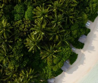 Тропические приключения на Мальдивах