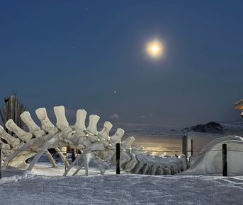 Териберка- через тундру к Краю Земли!