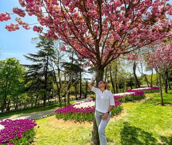 Тюльпанный Стамбул 8-12 апреля