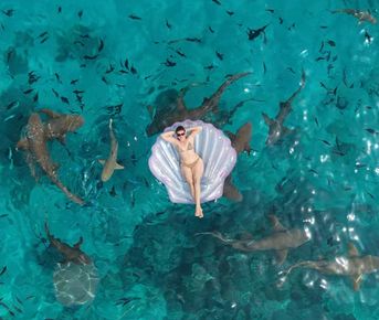 Путешествие  на Мальдивы