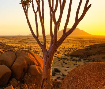 Тур в Намибию — путешествие, которое меняет представление об Африке.