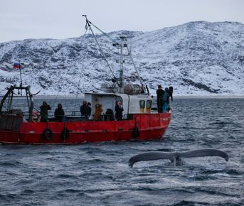 Териберка и поиск китов, топ самых красивых мест за один день