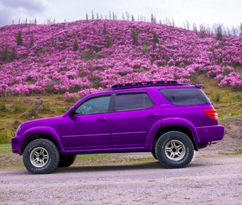 Весенний Маральник на Алтае