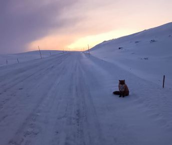 Кинематографичная Териберка