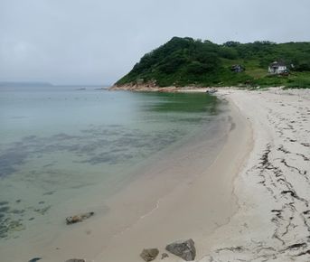 Заповедные истории: леопард, ларги и море