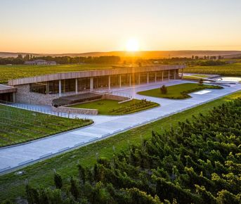 Замани меня в Тамань