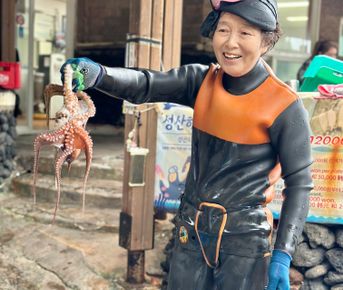 Авторский тур по острову Чеджу, 7 дней, формат All Inclusive