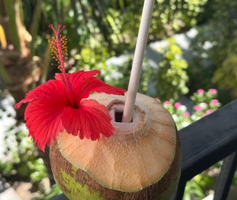 8 дней блаженства и открытий на райском острове для компании лучших друзей!