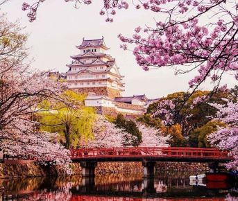 Япония в объятиях сакуры.Premium тур.