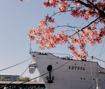 Релакс-тур в Калининград