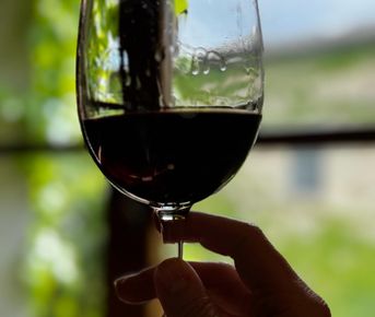 Тоскана индивидуально: дегустация в Кьянти, замок и Сиена из Флоренции/ Монтекатини