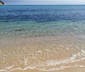 Из Владивостока — в бухту Триозёрье