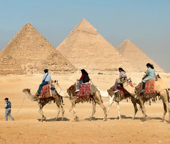 Золотой час Гизы: Закат на верблюдах у подножия пирамид