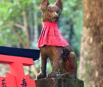 Тур Дух Японии