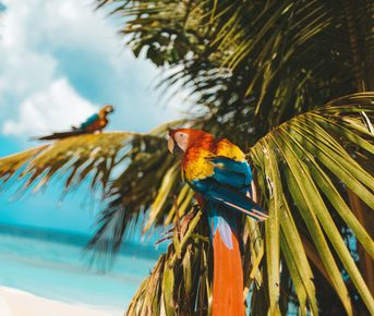 Мальдивы для перзагрузки и восстановления