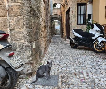 Острова Греции под парусами на катамаране