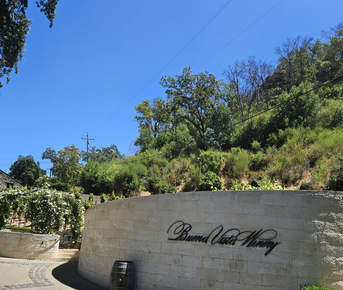 В Саусалито и Соному — из Сан-Франциско