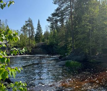 Сказочная Карелия из Спб за 3 дня в коттедже в мини-группе.