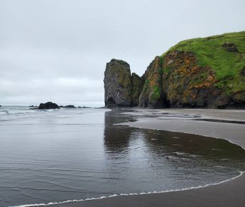 Камчатка. Полное погружение.