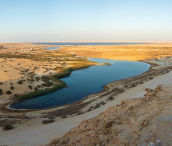 Оазис Эль-Файюм и Долина китов