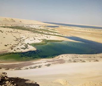 Оазис Эль-Файюм и Долина китов (от 1 до 5 человек)