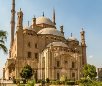 Крепость Саладина и мумии фараонов (от 1 до 5 человек)