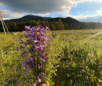 Мультинские озера