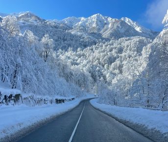 Катание с Гидом на горнолыжных курортах Красной Поляны