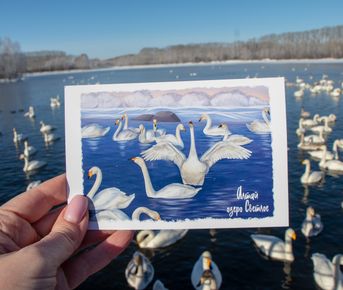 Пейзажи Алтая (группа до 6 чел.)