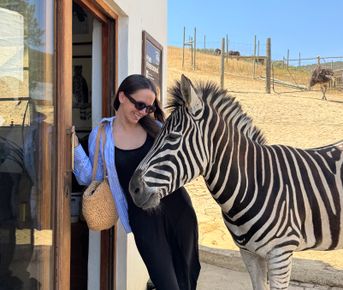 Юг Африки - Юар Замбия Зимбабве Ботсвана