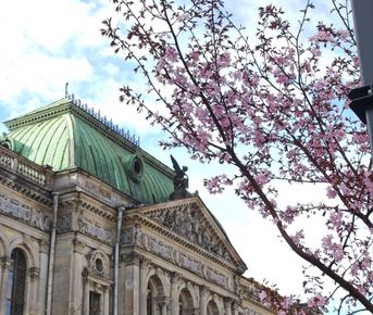 Санкт-Петербург: 6 чувств