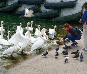 Другой Калининград