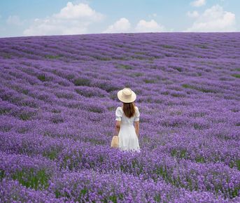 Конная разведка в Китай