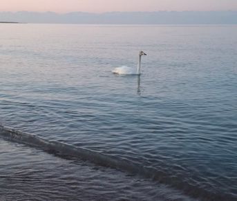 Киргизия вокруг Иссык-Куля