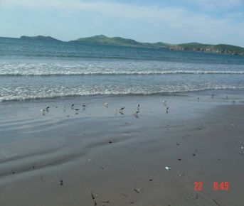 Тур выходного дня Остров Попова