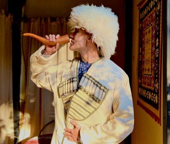 Индивидуальный тур: Уплисцихе  Гори  Боржоми