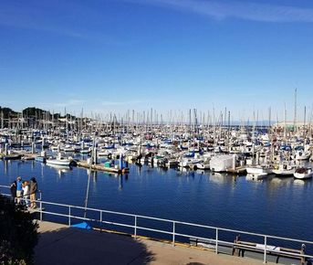 Там, где обрывается земля: Биг-Сур и секреты побережья