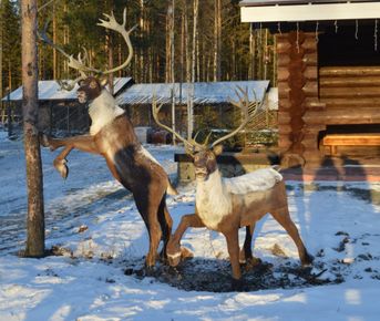 Снежная сказка: от Рускеалы до Талвиукко (мини-группа до 6 чел)