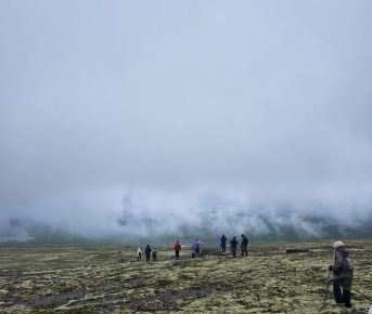 Ловозерские тундры