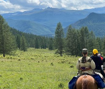 Погружение в Алтай 2026