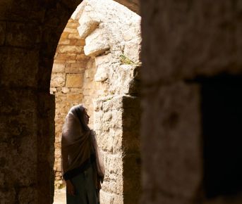 Южный Дагестан: Среда